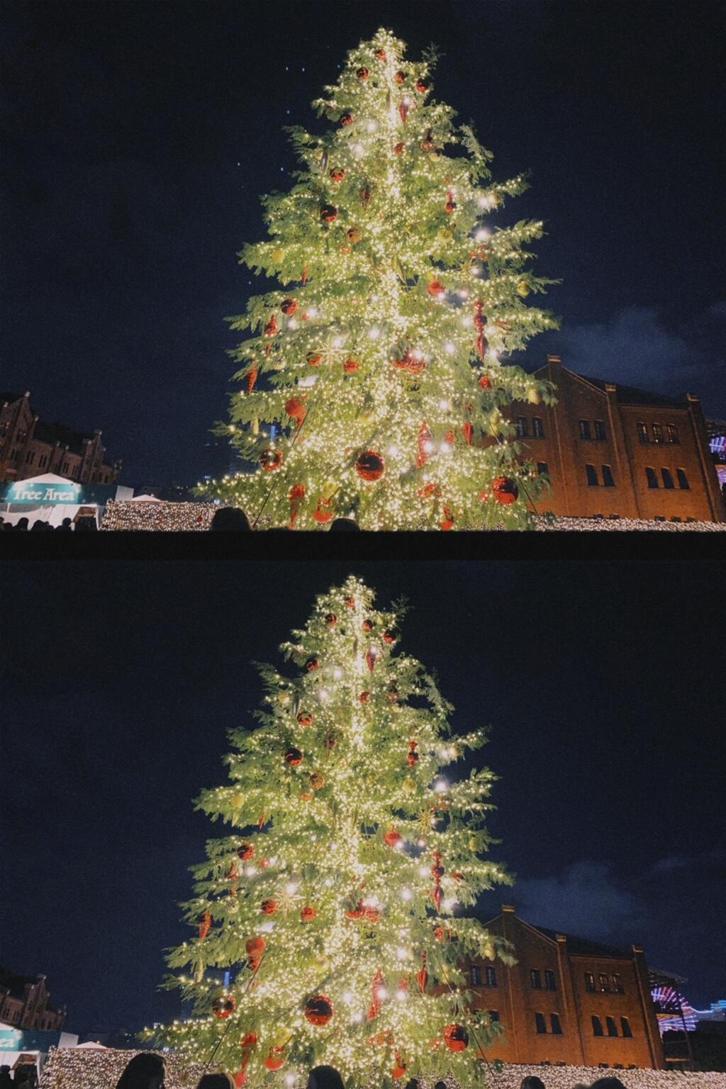 フライングxmas ぬかぴーのツブヤキ 株式会社サンエー印刷